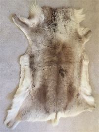Caribou Hide from Alaska...