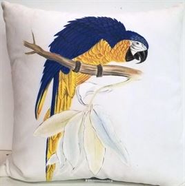 Guildmaster blue parrot macaw