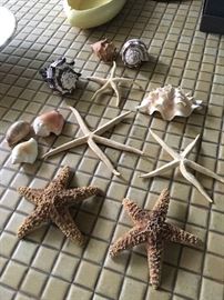 Seashells Mosaic tile top table with sea shells