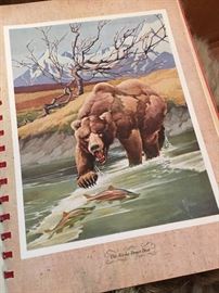 Book: Guide to North American big game