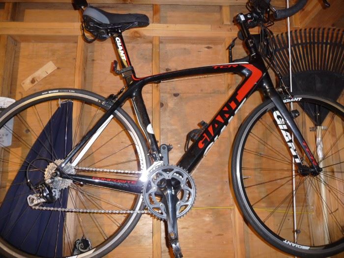 Giant bicycle