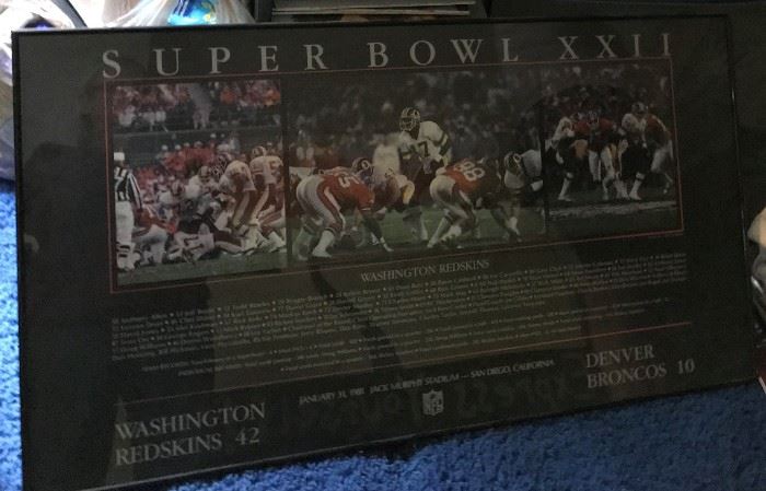 Super Bowl XXII Poster
