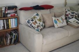Sleeper sofa, decorative pillows, multiple bookcases.