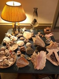 At least you can dream of Florida with these...