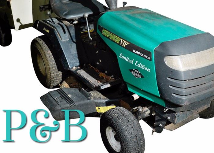 123MZ Briggs Stratton Weed Eater Riding Mower