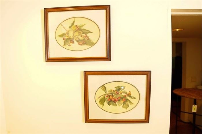 13MZ Pair of Decorative Botanical Prints