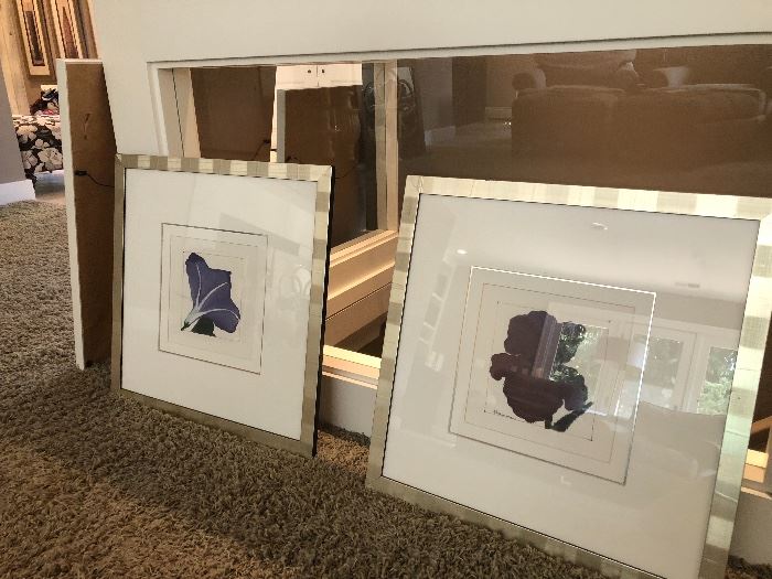 framed prints - excellent frames and sizes