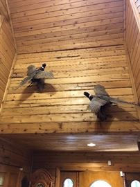 Pheasants