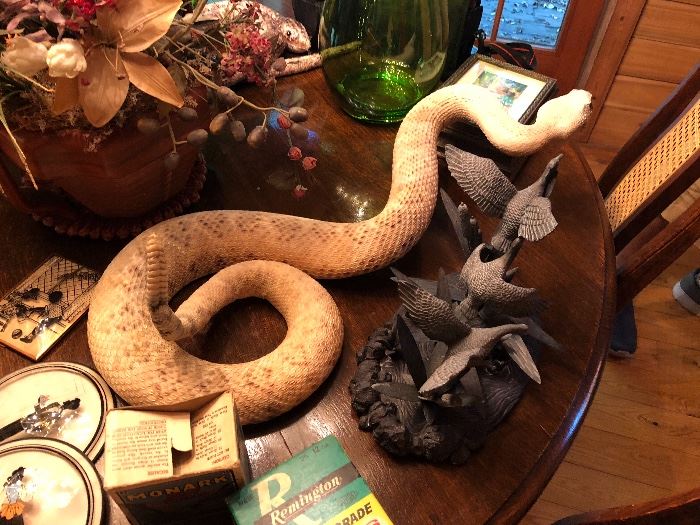 snake