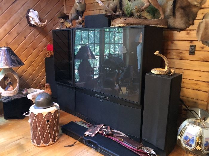 Large Tv and speakers