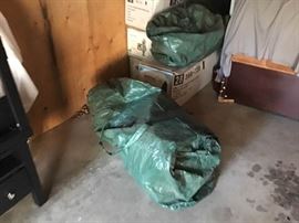 Outdoor Christmas Trees