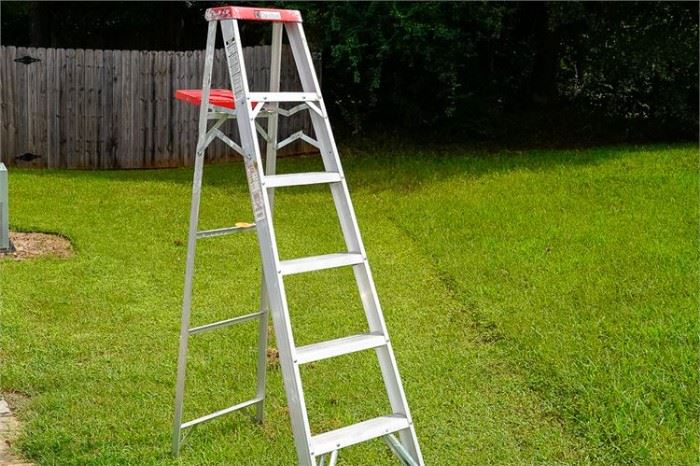 DAVIDSON Step Ladder