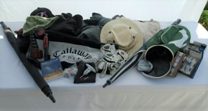 Hats, jackets, and miscellaneous golf accessories https://ctbids.com/#!/description/share/47139