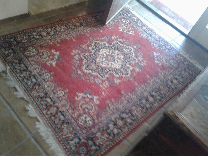 Hand knotted Wool Rug