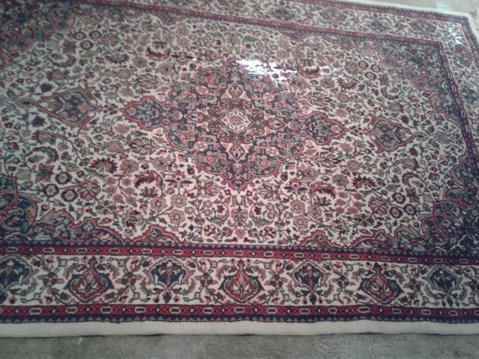 Hand knotted Wool Rug