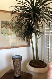 Palm Tree (Faux) Uplight Lamp, Art Print