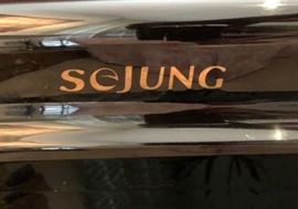 Sejung Electronic Piano