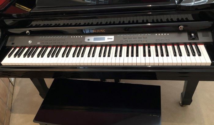 Sejung Electronic Piano