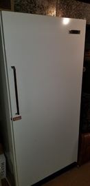Large upright freezer