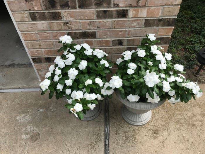 More patio flower arrangements