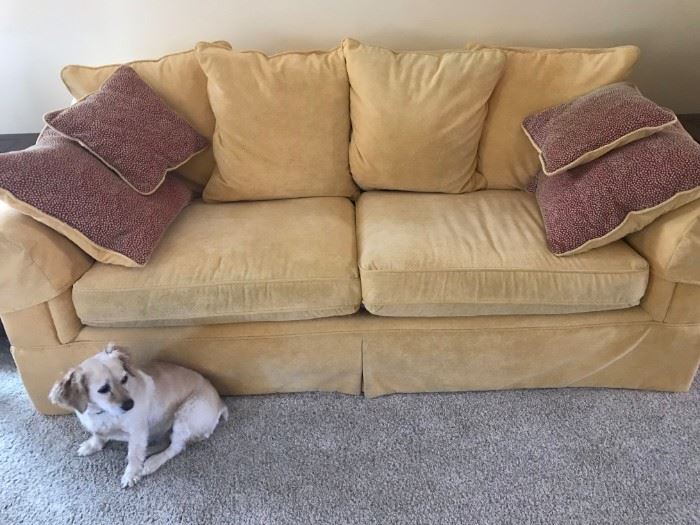 Golden 2 cushion couch with pillows