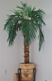 tree-n-trends palm tree