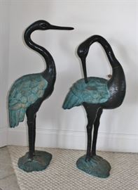 Black and teal birds