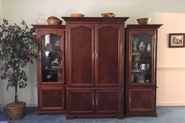 Wall Cabinet Entertainment Center