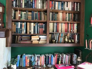 One of several book shelves full of books