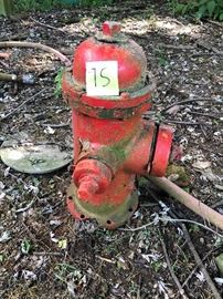 Fire Hydrant           https://ctbids.com/#!/description/share/48345