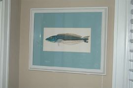 1905 Choli Lithograph