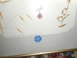 "Discourse Continues...Yes, But..." Faye Collins