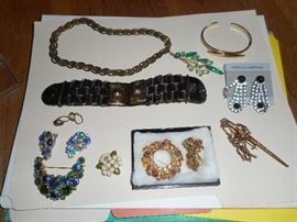 Costume Jewelry (earrings, brooches, etc)
