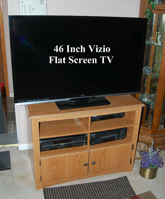 NICE Vizio 46 Inch TV with Sound System & Stand