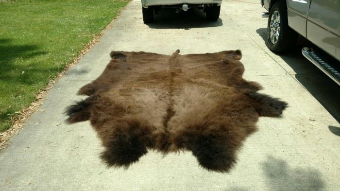 Buffalo hide robe, it is huge and gorgeous