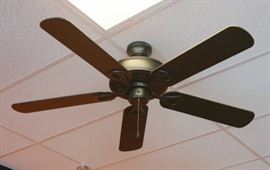 Great Looking Ceiling Fan Looks Pretty New