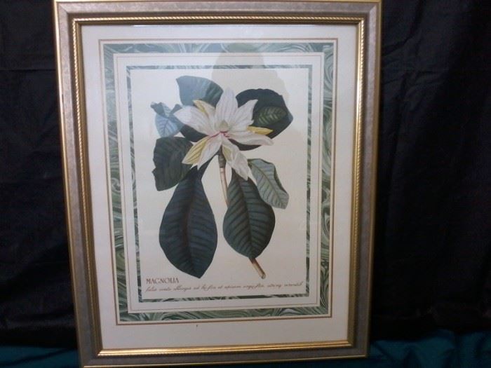 Framed Magnolia Flower Picture  http://www.ctonlineauctions.com/detail.asp?id=760035