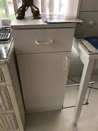 Sm Storage Cabinet $20