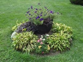 Scalding Kettle Planter