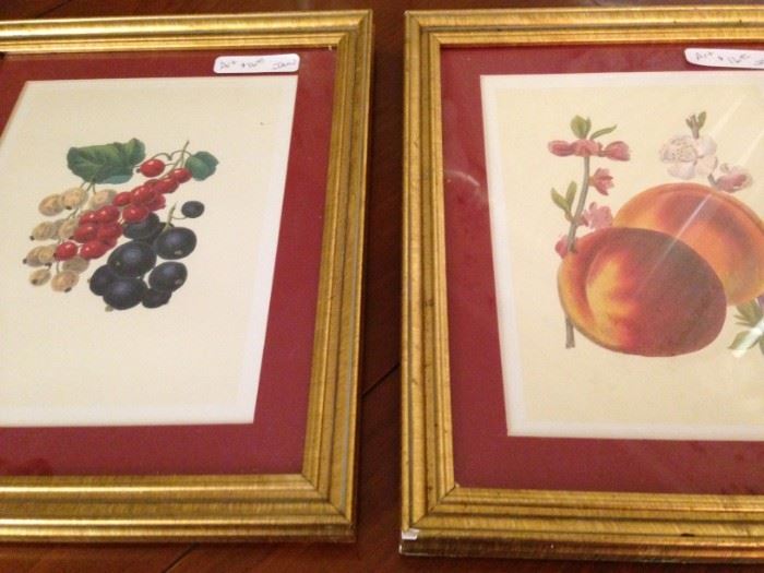 Framed fruit prints (2 of 6)