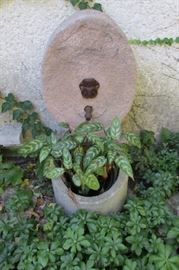 Water Feature