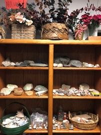 rocks and shells