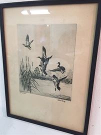 Signed duck etching by Richard Bishop.