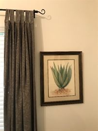 All Curtains, Pictures