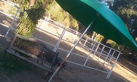 Bench & umbrella 