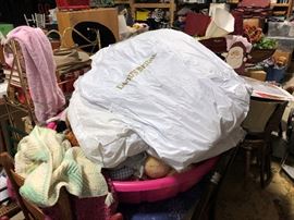 The pool of stuffed animals and a couple of wedding dresses, one is a size 10 I think and the other is a size 16