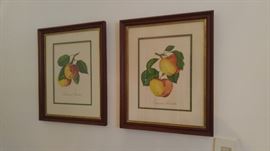 Love these vintage peach lithographs