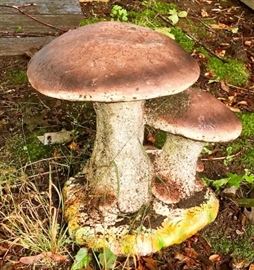 Garden toadstool