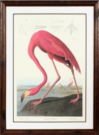 JOHN JAMES AUDUBON, AMSTERDAM EDITION, COLOR LITHOGRAPH, #364/1500, H 37", W 25", "FLAMINGO OLD MALE" PLATE 431
Lot # 0142 
