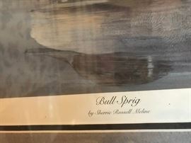 #5	sherlie Merlin duck print bull sprig  32x23 number 372/4700	 $75.00 	